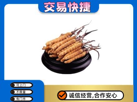 镇江回收冬虫夏草多少钱每克